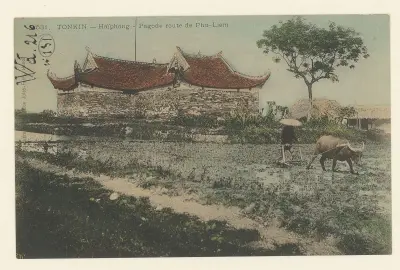 Ảnh đính kèm của Ngọc Anh
