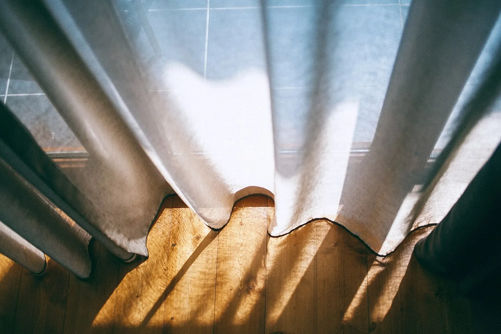 Ảnh 2 — Dẫn đường tham quan Cát Bà cho nhóm nhỏ